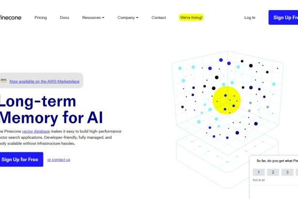 Pinecone AI Long-term Memory for AI Review: Pro Or Cons 2023 New Updated
