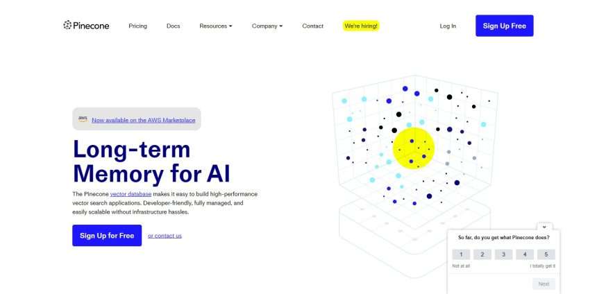 Pinecone AI Long-term Memory for AI Review: Pro Or Cons 2023 New Updated