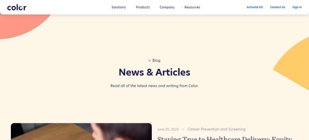 Color Blog (Best blog wordpress themes)