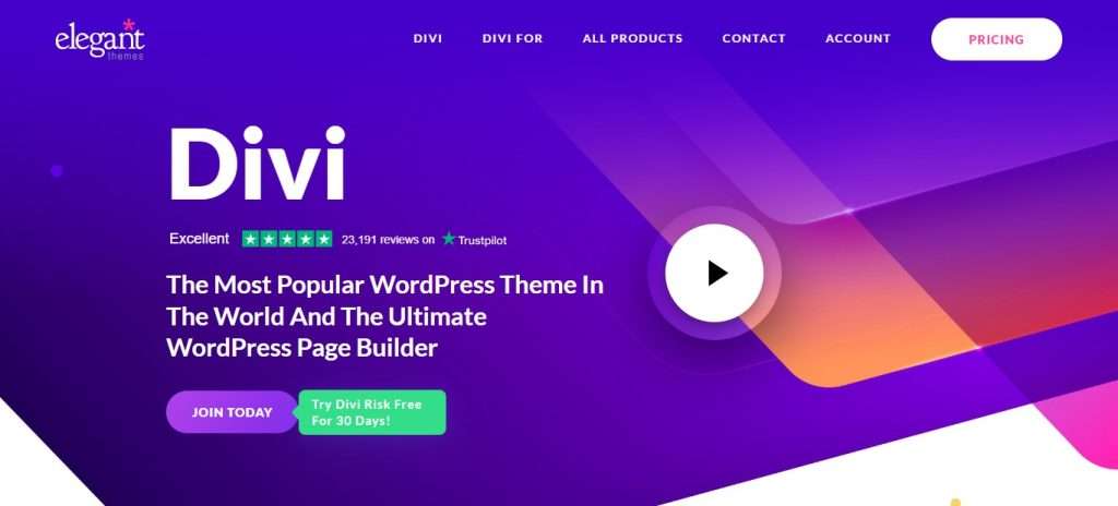 Divi (Best blog wordpress themes)
