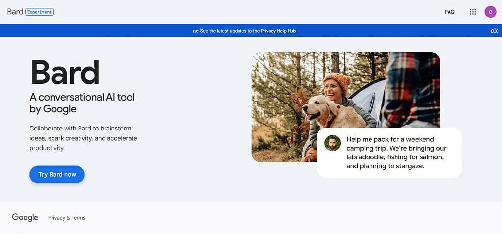 Google Bard (Best Ai Tools In USA)