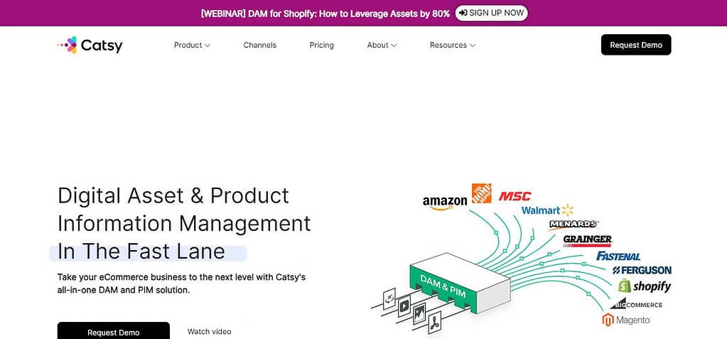 Catsy (Best Digital Asset Management Software )