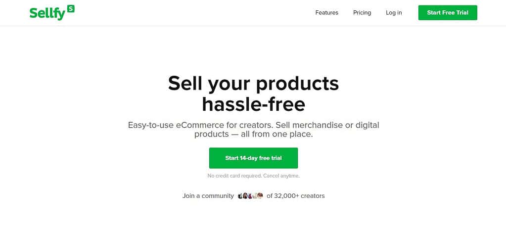 Sellfy (Best E-Commerce Platforms)