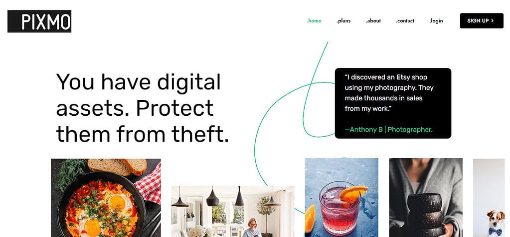 PIXMO (Best Brand Protection Software)