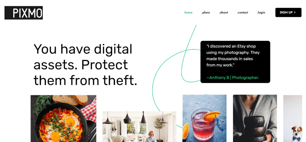 PIXMO (Best Brand Protection Software)
