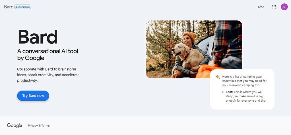 Google Bard