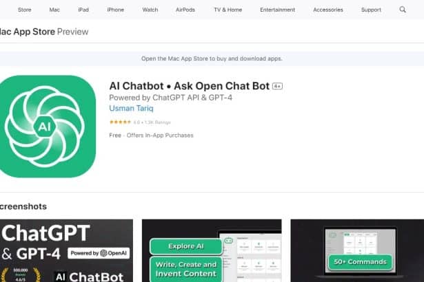 AI Chatbot Review : Pro Or Cons 2024 New Updated