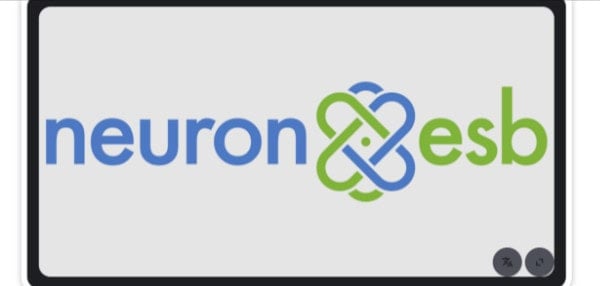 Neuron ESB