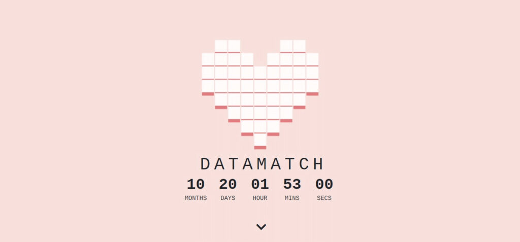 DataMatch