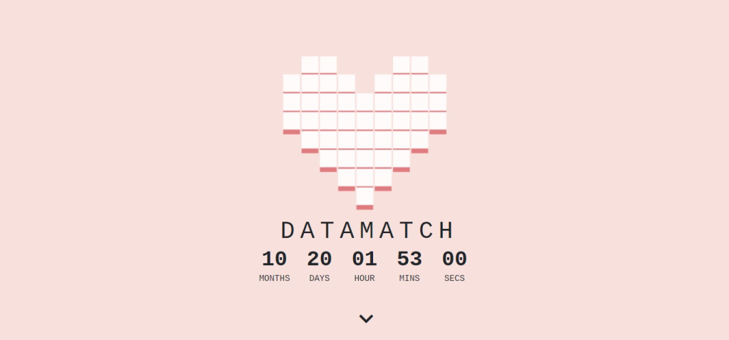 DataMatch