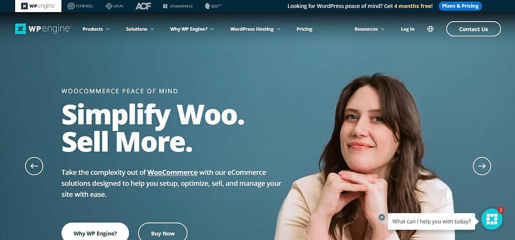 WP Engine (Best Cheap WordPress Hosting Services)