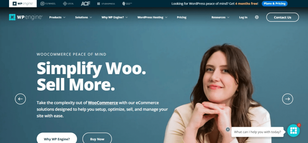 WP Engine (Best Cheap WordPress Hosting Services)