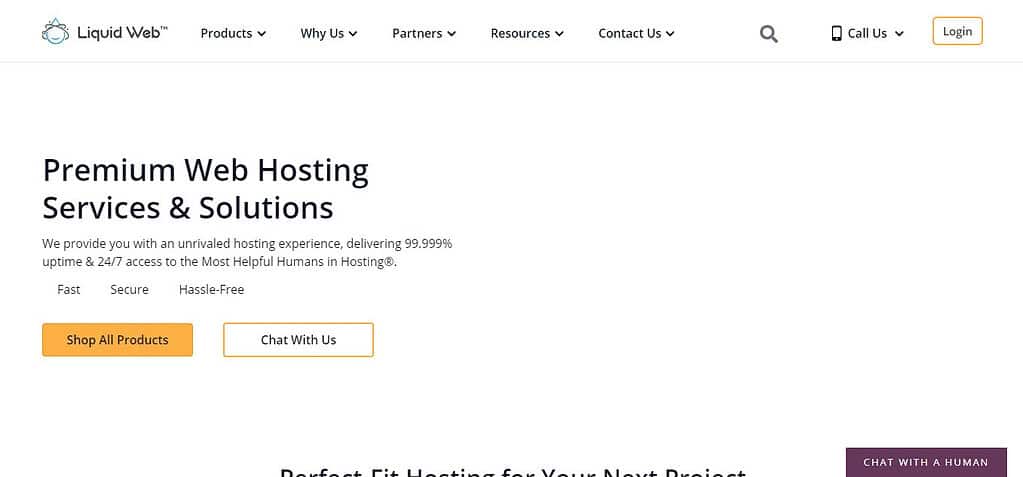 Liquid Web (Best Cheap WordPress Hosting Services)