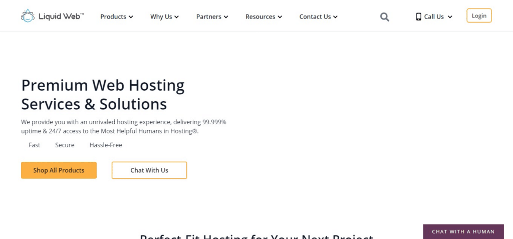 Liquid Web (Best Cheap WordPress Hosting Services)