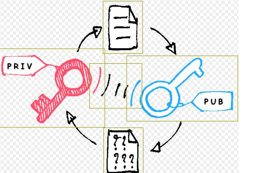 30 Best Encryption Software For 2024