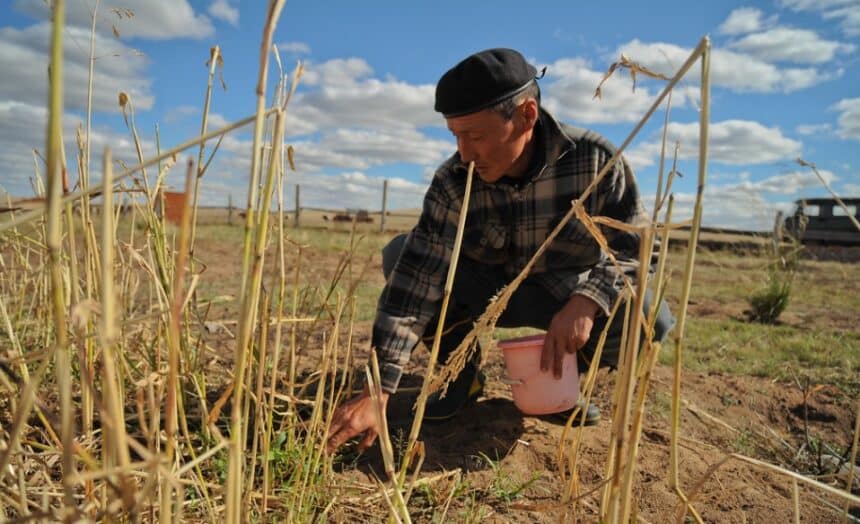 50 Best Farm Management Software 2024