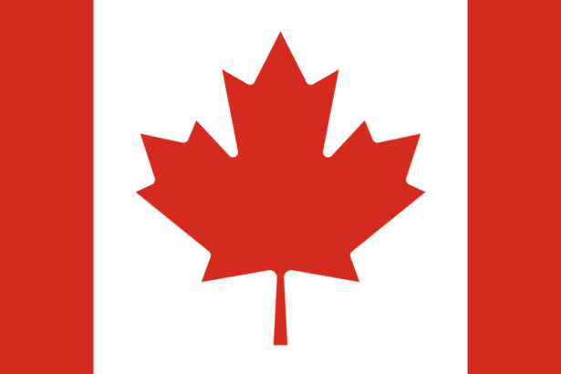 29 Best Ai Tools In Canada In 2024