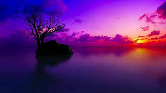 Alternative Methods to Get Daily Microsoft Wallpapers