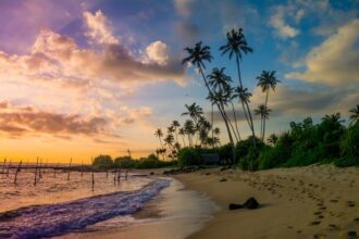 10 Best AI Apps in Sri Lanka for 2025