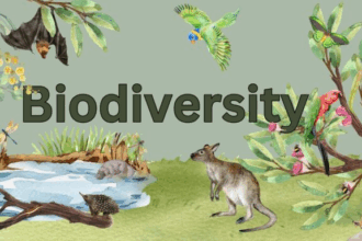 Why Biodiversity Matters: Key to a Healthy Planet