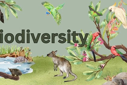 Why Biodiversity Matters: Key to a Healthy Planet
