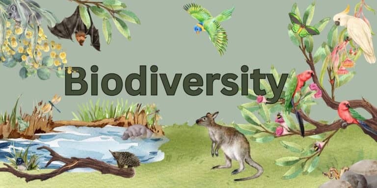 What is Biodiversity ?