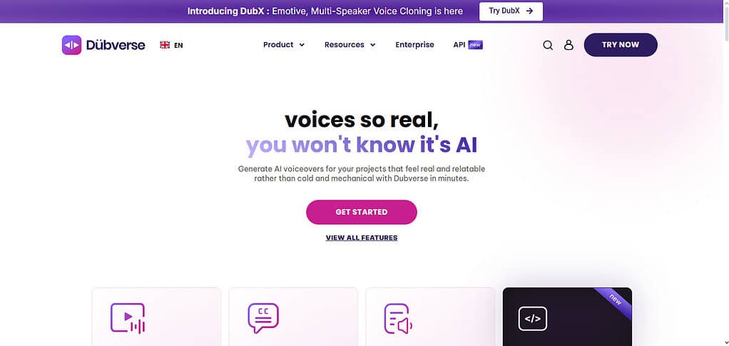 What Is Dubverse AI?