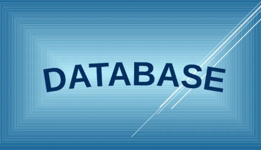 What is Database Learning Plan Management?