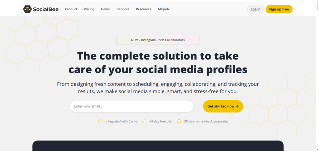 SocialBee