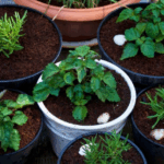 9 Best AI Tools for Urban Farming and Home Gardening