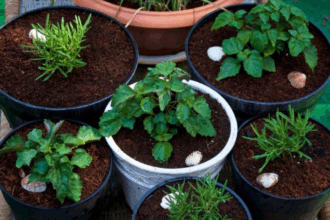 9 Best AI Tools for Urban Farming and Home Gardening