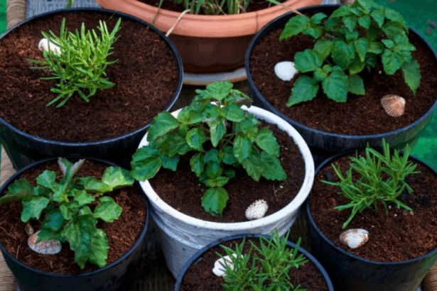 9 Best AI Tools for Urban Farming and Home Gardening