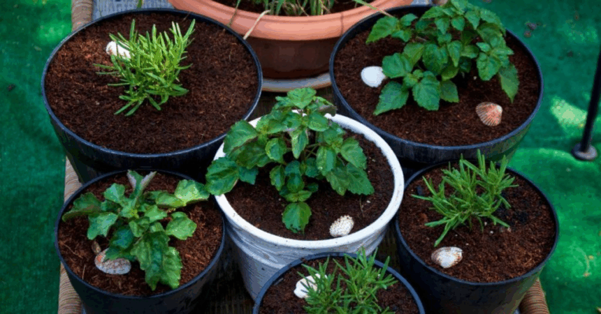 9 Best AI Tools for Urban Farming and Home Gardening