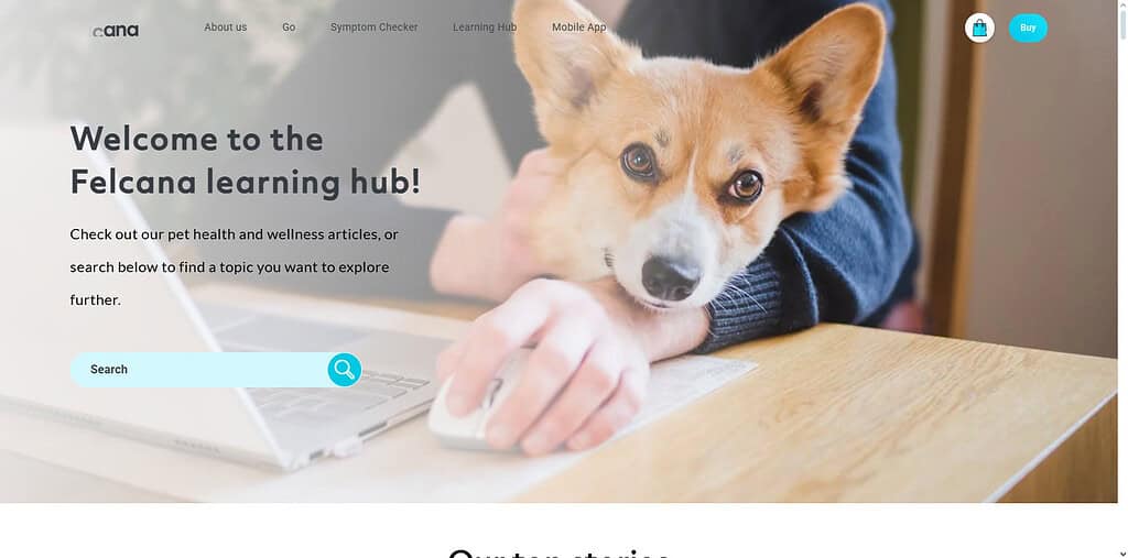 Felcana Health Hub