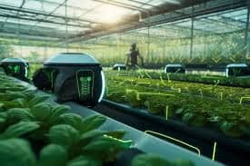 How Edge AI is Transforming Smart Agriculture Without Internet Connectivity