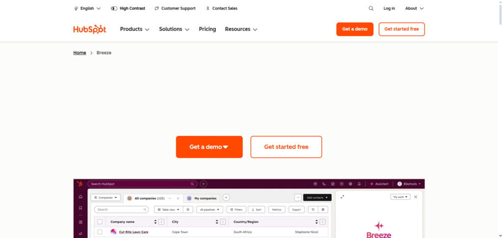 HubSpot AI