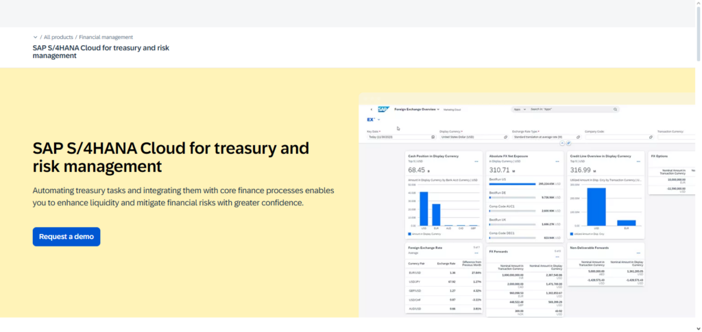 SAP Treasury & Risk AI