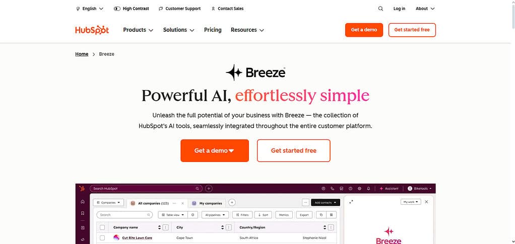 HubSpot AI