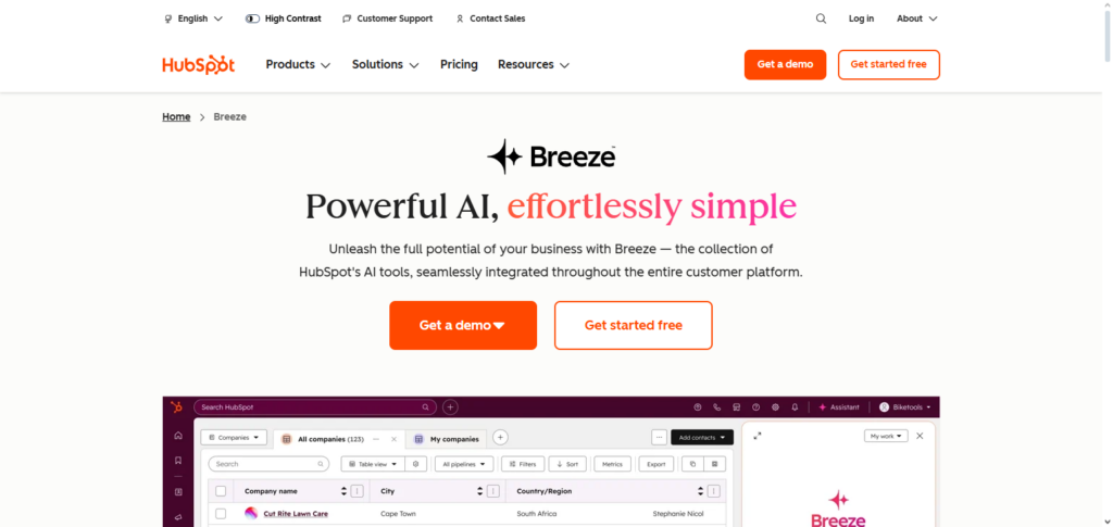 HubSpot AI