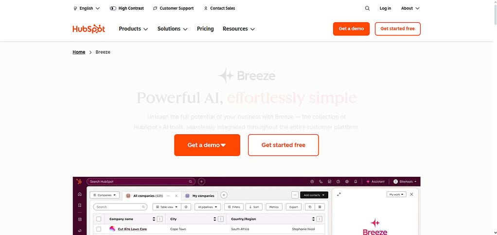 HubSpot AI