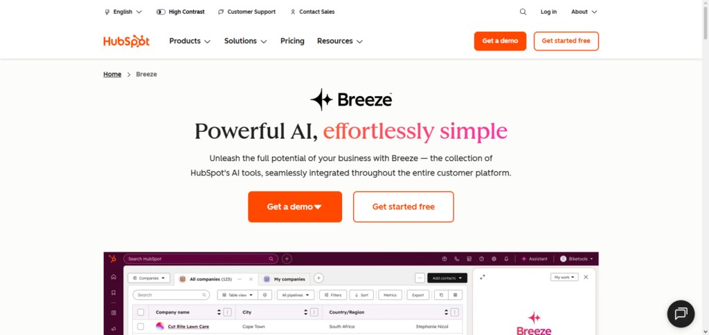 HubSpot AI