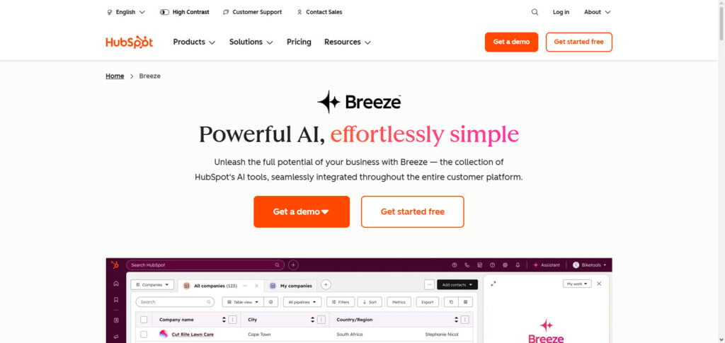 HubSpot AI