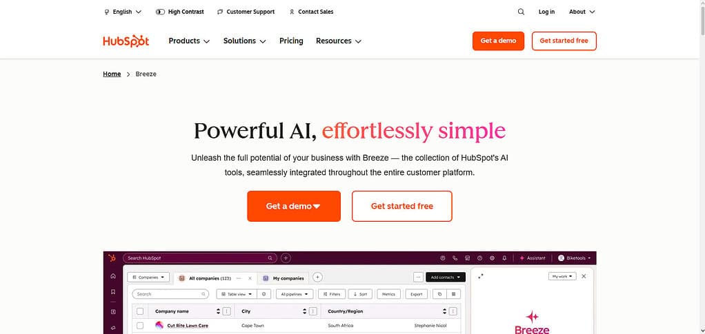 HubSpot AI