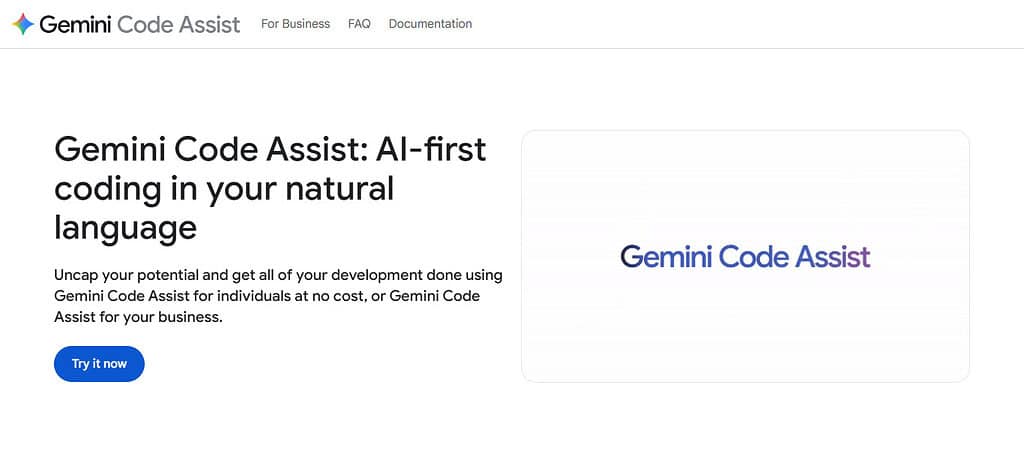 Google Gemini Code Assist