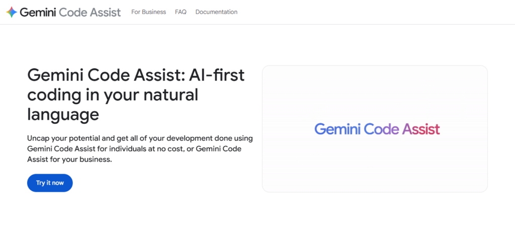 Google Gemini Code Assist