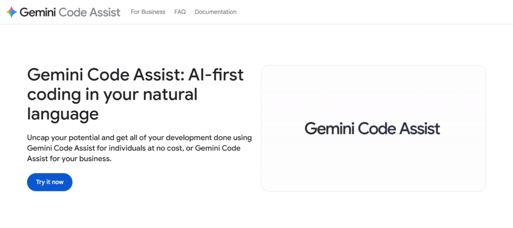 Google Gemini Code Assist