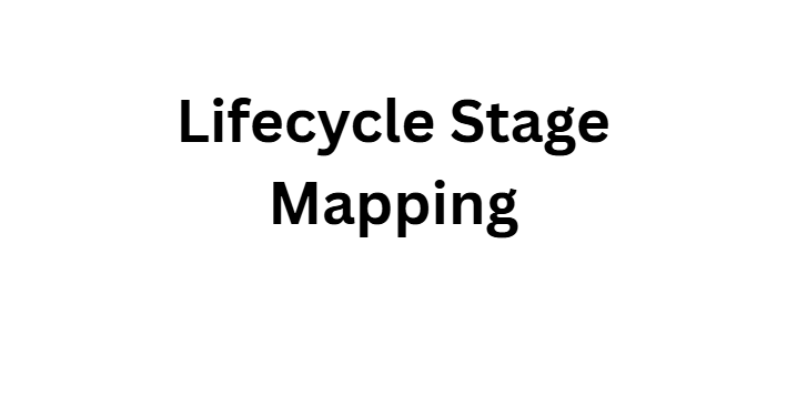  Lifecycle Stage Mapping