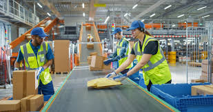 Warehouse Workers (manual sorting)