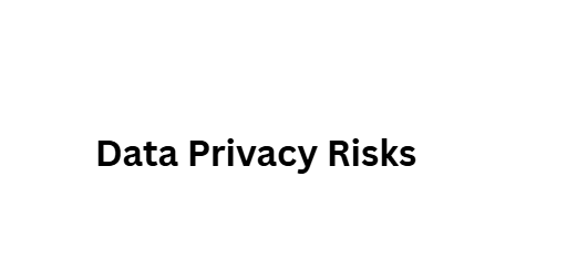 Data Privacy Risks