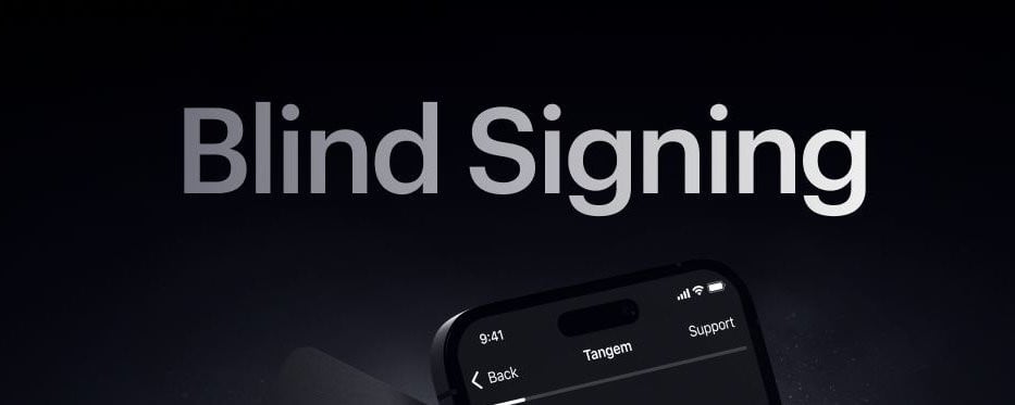What Is Blind Signing?